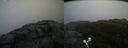 ./images/calvert/buxton2/20191102/buxton220191102_123502M.jpg