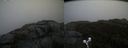 ./images/calvert/buxton2/20191102/buxton220191102_145502M.jpg
