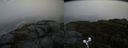 ./images/calvert/buxton2/20191102/buxton220191102_155503M.jpg