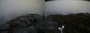 ./images/calvert/buxton2/20191102/buxton220191102_160503M.jpg