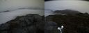 ./images/calvert/buxton2/20191102/buxton220191102_175502M.jpg