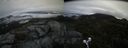 ./images/calvert/buxton2/20191103/buxton220191103_122503M.jpg