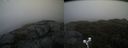 ./images/calvert/buxton2/20191104/buxton220191104_093003M.jpg