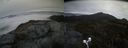 ./images/calvert/buxton2/20191106/buxton220191106_155502M.jpg