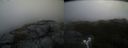 ./images/calvert/buxton2/20191109/buxton220191109_085003M.jpg