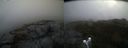 ./images/calvert/buxton2/20191109/buxton220191109_085502M.jpg