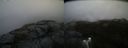 ./images/calvert/buxton2/20191109/buxton220191109_110503M.jpg