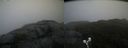 ./images/calvert/buxton2/20191112/buxton220191112_130503M.jpg