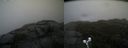 ./images/calvert/buxton2/20191112/buxton220191112_140502M.jpg