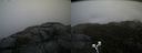 ./images/calvert/buxton2/20191112/buxton220191112_141002M.jpg