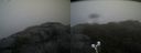 ./images/calvert/buxton2/20191112/buxton220191112_144002M.jpg