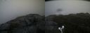 ./images/calvert/buxton2/20191112/buxton220191112_145503M.jpg