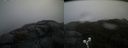 ./images/calvert/buxton2/20191112/buxton220191112_152003M.jpg