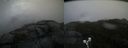./images/calvert/buxton2/20191112/buxton220191112_153003M.jpg