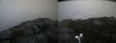 ./images/calvert/buxton2/20191112/buxton220191112_155003M.jpg