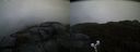 ./images/calvert/buxton2/20191115/buxton220191115_081502M.jpg