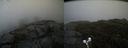 ./images/calvert/buxton2/20191115/buxton220191115_121003M.jpg