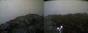 ./images/calvert/buxton2/20191115/buxton220191115_144003M.jpg