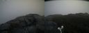 ./images/calvert/buxton2/20191115/buxton220191115_151502M.jpg