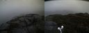 ./images/calvert/buxton2/20191116/buxton220191116_155502M.jpg