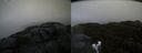 ./images/calvert/buxton2/20191121/buxton220191121_145503M.jpg
