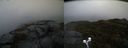./images/calvert/buxton2/20191122/buxton220191122_084502M.jpg