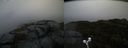 ./images/calvert/buxton2/20191122/buxton220191122_094003M.jpg