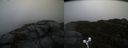 ./images/calvert/buxton2/20191122/buxton220191122_094503M.jpg