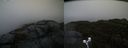 ./images/calvert/buxton2/20191122/buxton220191122_100503M.jpg