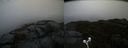 ./images/calvert/buxton2/20191122/buxton220191122_103003M.jpg