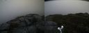 ./images/calvert/buxton2/20191122/buxton220191122_104002M.jpg