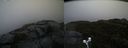 ./images/calvert/buxton2/20191122/buxton220191122_104502M.jpg