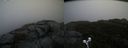 ./images/calvert/buxton2/20191122/buxton220191122_112502M.jpg