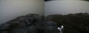 ./images/calvert/buxton2/20191122/buxton220191122_114002M.jpg