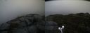 ./images/calvert/buxton2/20191122/buxton220191122_114502M.jpg