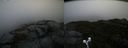 ./images/calvert/buxton2/20191122/buxton220191122_115002M.jpg