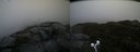 ./images/calvert/buxton2/20191122/buxton220191122_120502M.jpg