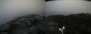 ./images/calvert/buxton2/20191122/buxton220191122_121002M.jpg