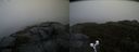 ./images/calvert/buxton2/20191122/buxton220191122_144502M.jpg
