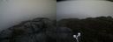 ./images/calvert/buxton2/20191122/buxton220191122_154003M.jpg