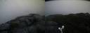 ./images/calvert/buxton2/20191123/buxton220191123_080502M.jpg