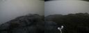 ./images/calvert/buxton2/20191123/buxton220191123_082502M.jpg