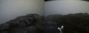 ./images/calvert/buxton2/20191123/buxton220191123_091503M.jpg