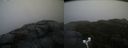 ./images/calvert/buxton2/20191123/buxton220191123_105002M.jpg