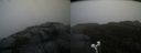 ./images/calvert/buxton2/20191123/buxton220191123_105502M.jpg