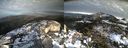 ./images/calvert/buxton2/20191201/buxton220191201_151503M.jpg