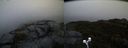 ./images/calvert/buxton2/20191203/buxton220191203_082502M.jpg
