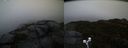 ./images/calvert/buxton2/20191203/buxton220191203_083003M.jpg