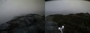 ./images/calvert/buxton2/20191203/buxton220191203_091503M.jpg