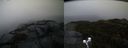 ./images/calvert/buxton2/20191203/buxton220191203_092003M.jpg